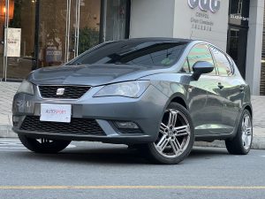 Seat Ibiza Style