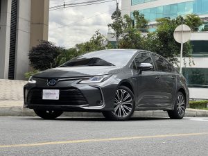 Toyota Corolla Seg Hev