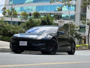 Tesla Model 3 Performance